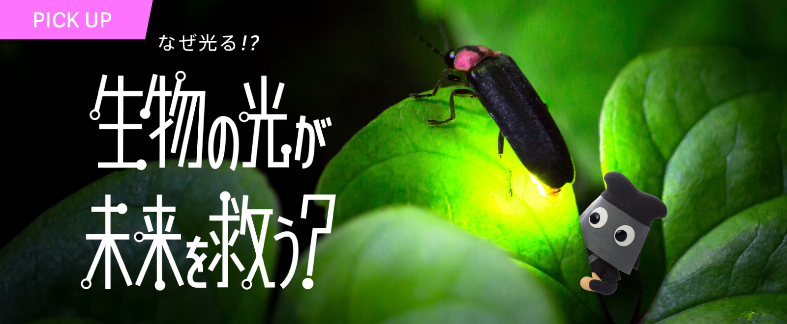 なぜ光る!? 生物の光が未来を救う？