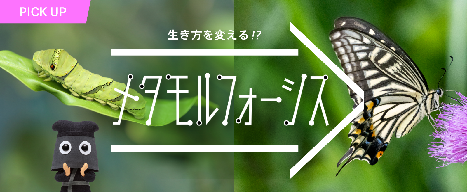 生き方を変える!? メタモルフォーシス