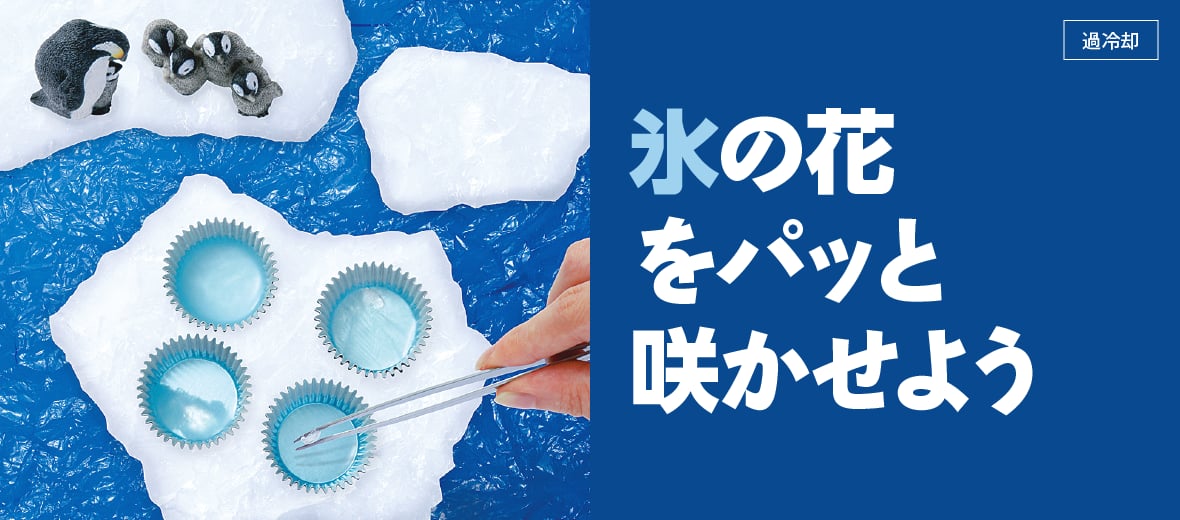 氷の花をパッと咲かせよう 自由研究におすすめ 家庭でできる科学実験シリーズ 試してフシギ Ngkサイエンスサイト 日本ガイシ株式会社
