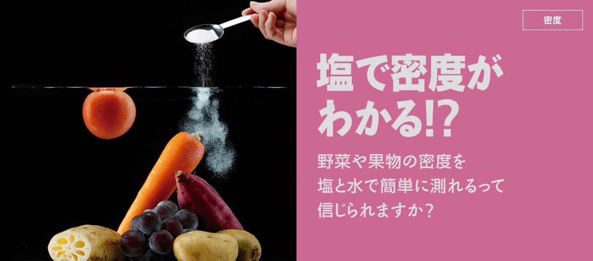 密度 塩で密度がわかる 自由研究におすすめ 家庭でできる科学実験シリーズ 試してフシギ Ngkサイエンスサイト 日本ガイシ株式会社