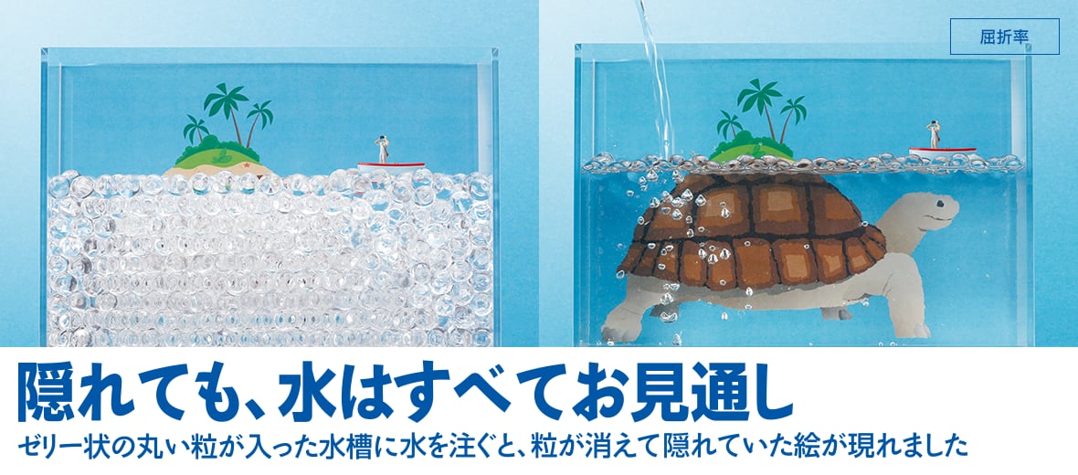 隠れても、水はすべてお見通し