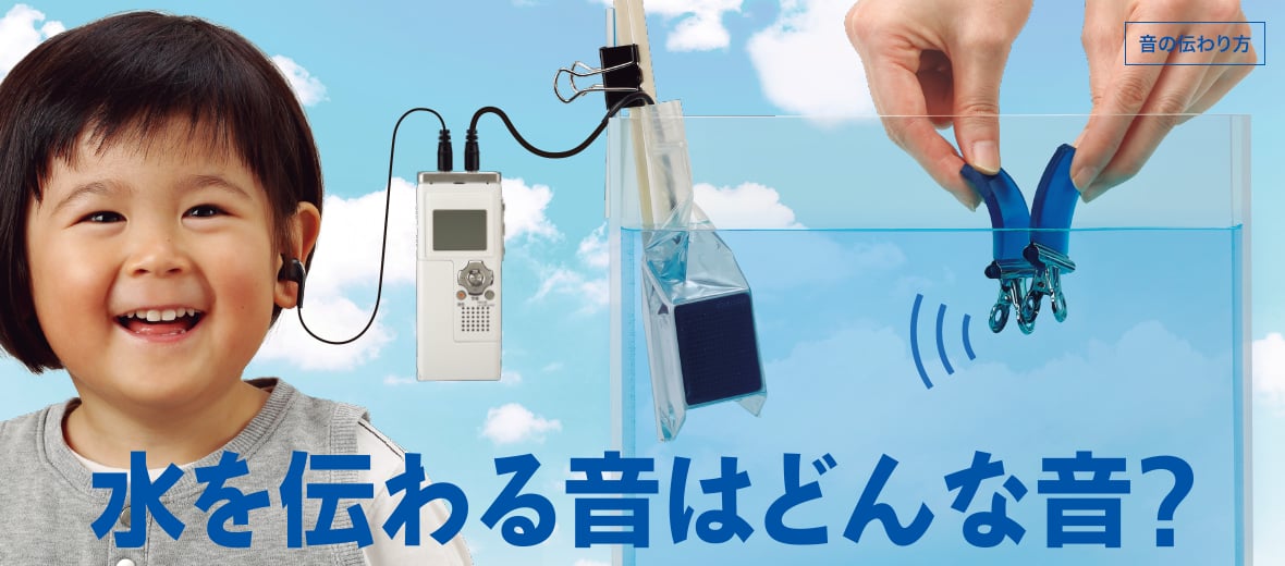 水を伝わる音はどんな音?