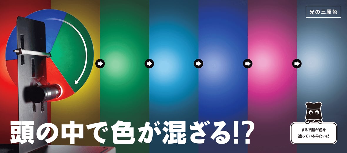 頭の中で色が混ざる 自由研究におすすめ 家庭でできる科学実験シリーズ 試してフシギ Ngkサイエンスサイト 日本ガイシ株式会社