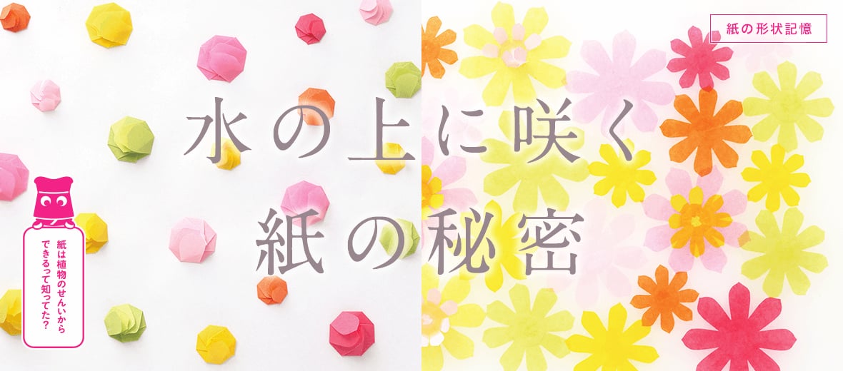 紙の形状記憶 水の上に咲く紙の秘密 自由研究におすすめ 家庭でできる科学実験シリーズ 試してフシギ Ngkサイエンスサイト 日本ガイシ株式会社