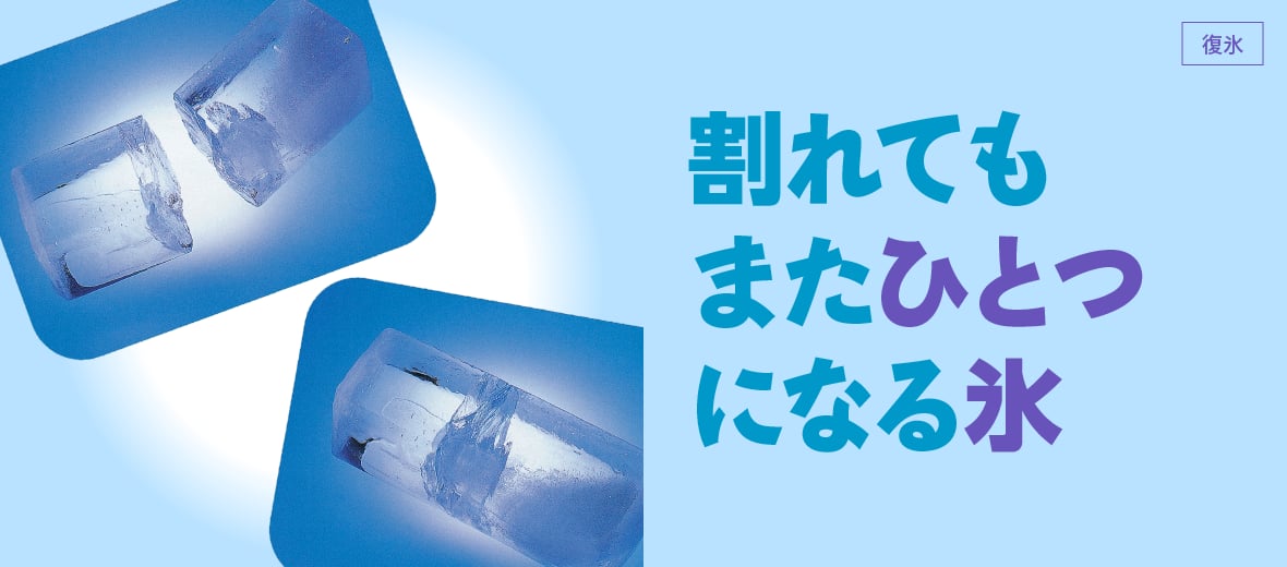 割れてもまたひとつになる 自由研究におすすめ 家庭でできる科学実験シリーズ 試してフシギ Ngkサイエンスサイト 日本ガイシ株式会社