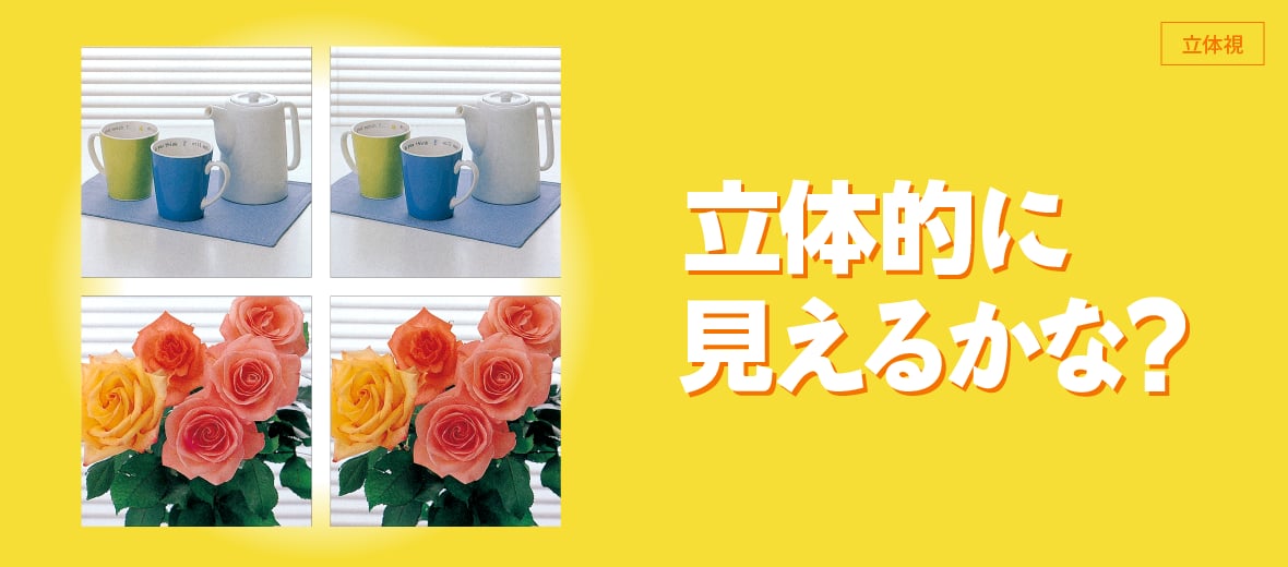 立体的に見えるかな？