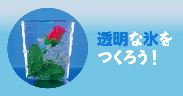 氷と気泡 透明な氷をつくろう 自由研究におすすめ 家庭でできる科学実験シリーズ 試してフシギ Ngkサイエンスサイト 日本ガイシ株式会社