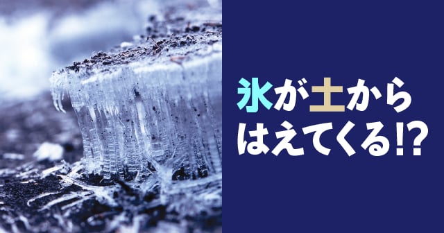 霜柱 しもばしら 氷が土からはえてくる 自由研究におすすめ 家庭でできる科学実験シリーズ 試してフシギ Ngkサイエンスサイト 日本ガイシ株式会社