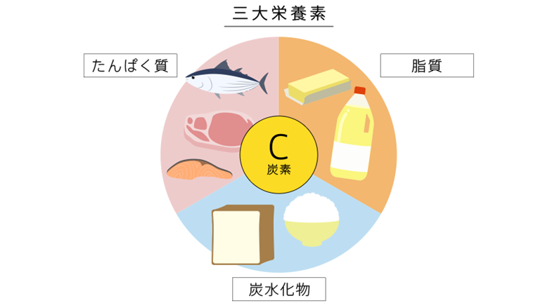 炭素の解説図